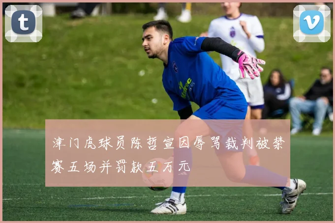 津门虎球员陈哲宣因辱骂裁判被禁赛五场并罚款五万元