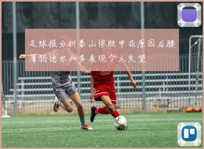 足球报分析泰山惨败申花原因后腰薄弱德尔加多表现令人失望