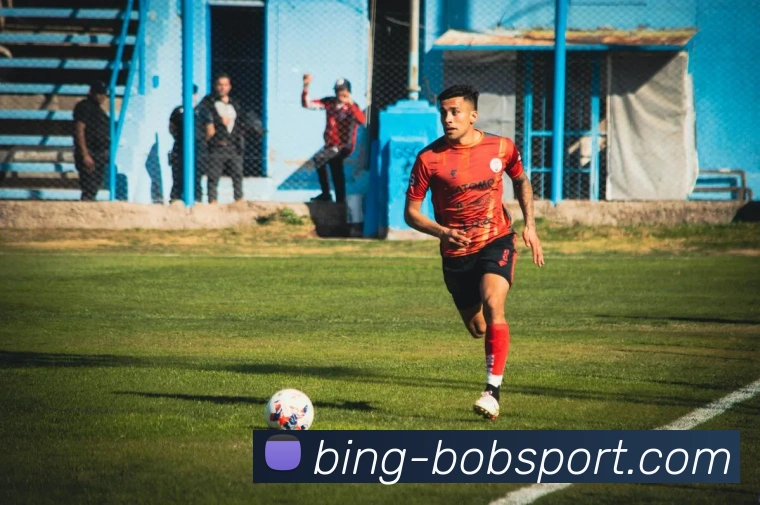 BOB体育服务体系